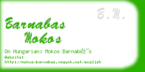 barnabas mokos business card